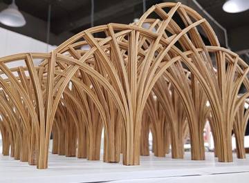 20045964 1717034811670109 787449511 N