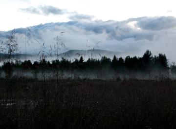 1017005 10153096814410144 1064861122 N