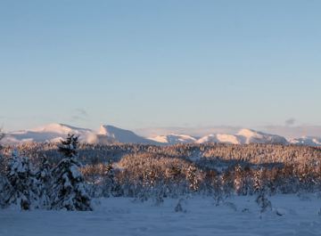 28771 10152346831440144 2119747852 N